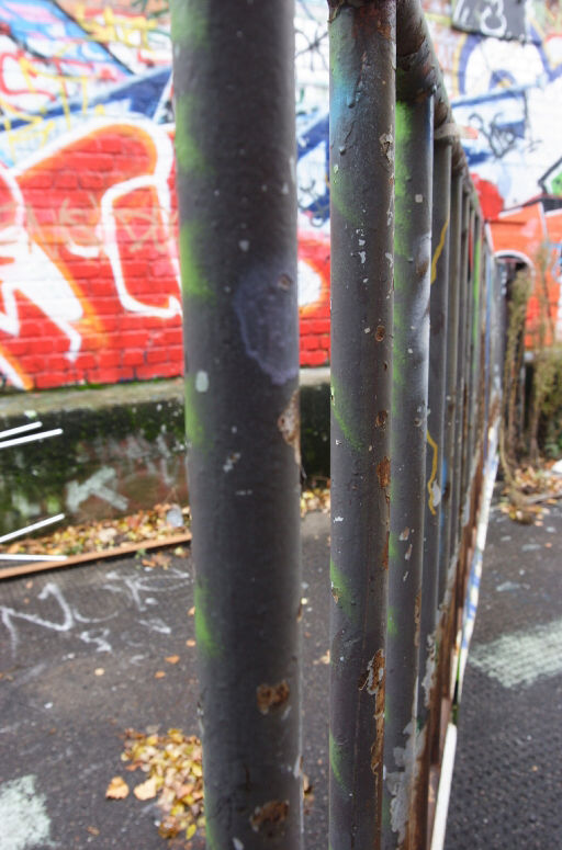 _MG_6496.JPG