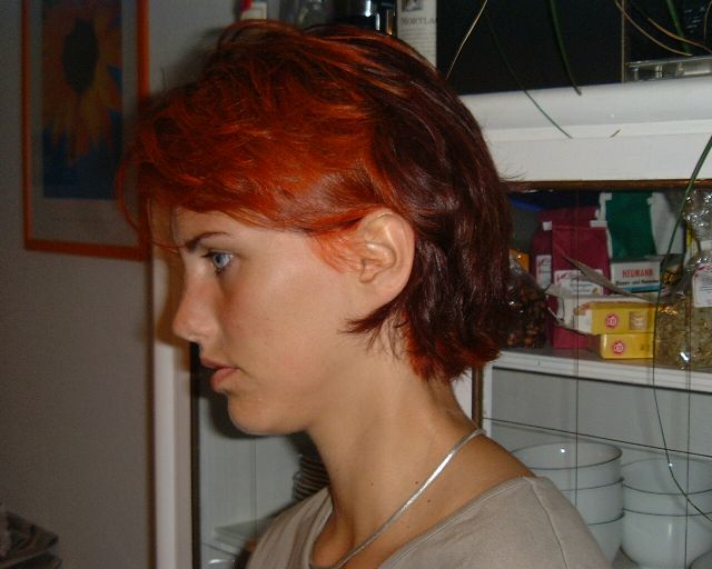 DSCF1996.JPG