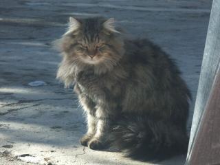 PICT0047.JPG