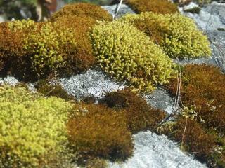 PICT0067.JPG