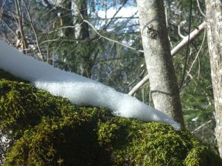 PICT0069.JPG