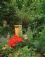 2003_07_05_a.JPG 512x640 0.0 MB