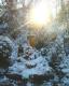 2003_12_24_02_.JPG 512x640 0.0 MB