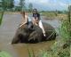 DSCF2413.JPG 640x512 0.0 MB