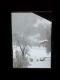 p1_0048.JPG 480x640 0.0 MB