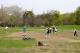 _MG_7694.JPG 876x584 0.0 MB